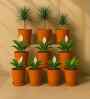 10 Pcs Red Terracotta 5.5 Inchs Planters