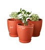 10 Pcs Red Terracotta 6.5 Inchs Planters