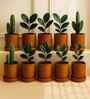 10 Pcs Red Terracotta 6 Inchs Planters