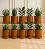 10 Pcs Red Terracotta 6 Inchs Planters