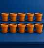 10 Pcs Red Terracotta 6 Inchs Planters
