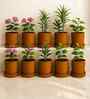 10 Pcs Red Terracotta 6 Inchs Planters
