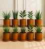 10 Pcs Red Terracotta 6 Inchs Planters