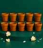 10 Pcs Red Terracotta 6 Inchs Planters