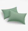 Green 144 TC 100 % Cotton Double Size Bedsheet With 2 Pillow Covers