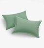 Green Solid 144 TC Cotton 1 Double King Size Bedsheet with 2 Pillow Covers