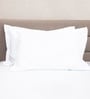 White Solid 300 TC 100% Cotton King Sized Bed Sheets with 2 Pillow Covers