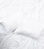 White Solid 300 TC 100% Cotton King Sized Bed Sheets with 2 Pillow Covers