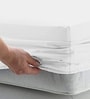 100% Cotton 400TC Fitted Double Bedsheet With 2 Pillow Covers