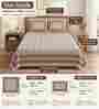 Brown Floral 100% Cotton Super King Size Bedsheet with 2 Pillow Covers
