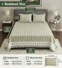 Light Green Floral 100% Cotton Super King Size Bedsheet with 2 Pillow Covers