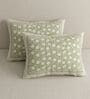 Light Green Floral 100% Cotton Super King Size Bedsheet with 2 Pillow Covers