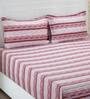 Inhouse Donatella 210 Tc Cotton Linea Double Bed Sheet With 2 Pillow Covers