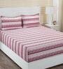 Inhouse Donatella 210 Tc Cotton Linea Double Bed Sheet With 2 Pillow Covers