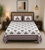 Purple 210 TC 100% Cotton Elephant Printed Super King Size Bedsheet with 2 Pillow Covers