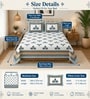 Skyblue 210 TC 100% Cotton  Elephant Printed Super King Size Bedsheet with 2 Pillow Covers