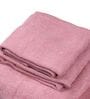 Blush 100% Pure Bamboo Terry Hand Towel Set Of 2