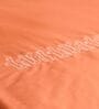 Peach 1000 Tc Cotton Embroidered King Duvet With Ruffles