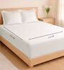 White 1000 Tc Cotton Bedsheet Set With 2 Pillow Covers & 2 Embroidered Cushion Covers