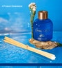 Ocean Mist Oriental Reed Diffuser 100ml