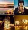 10mtr 100 LED Copper String Light