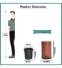 11 Ltr Brown Stainless Steel Step On Dustbin