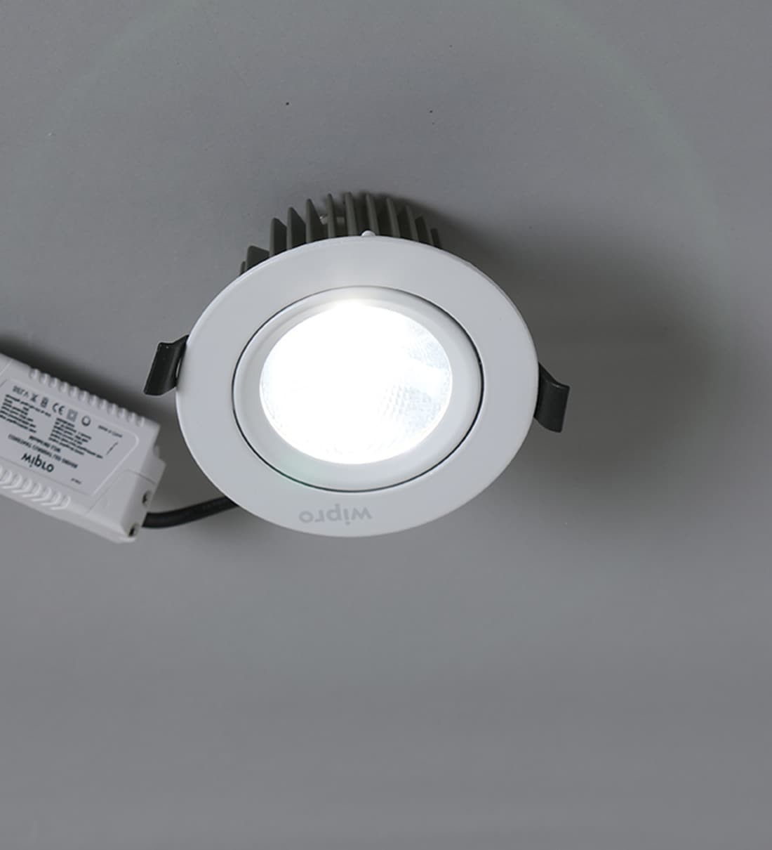 wipro 12 watt ceiling light