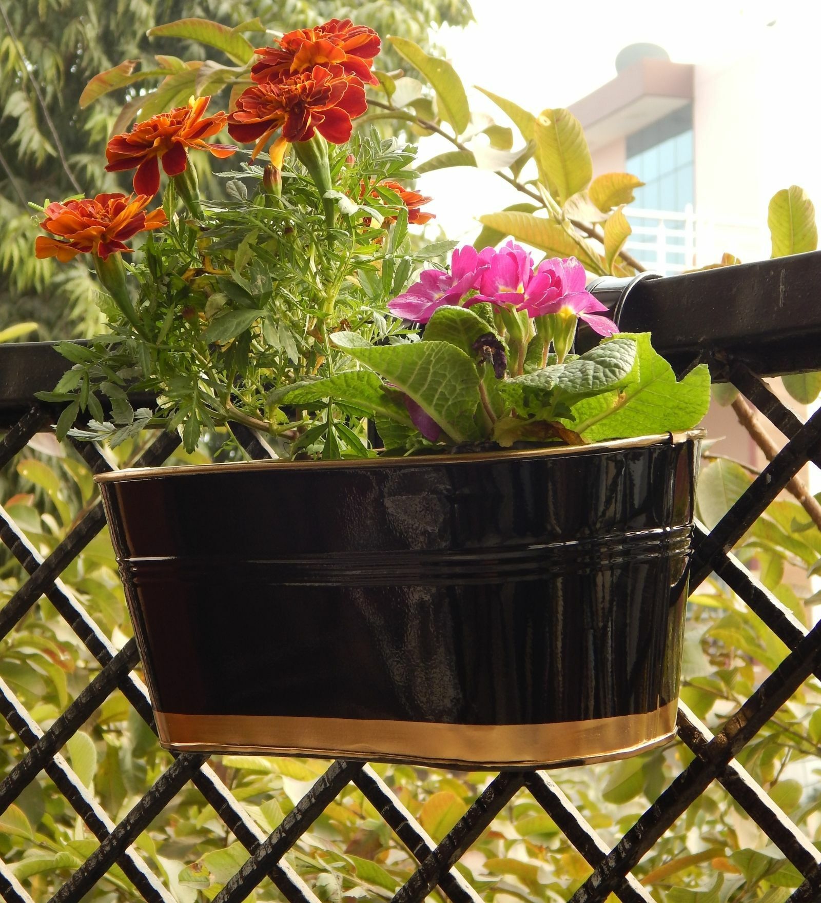 12 Inches Oval Rectangular Black Metal Planter