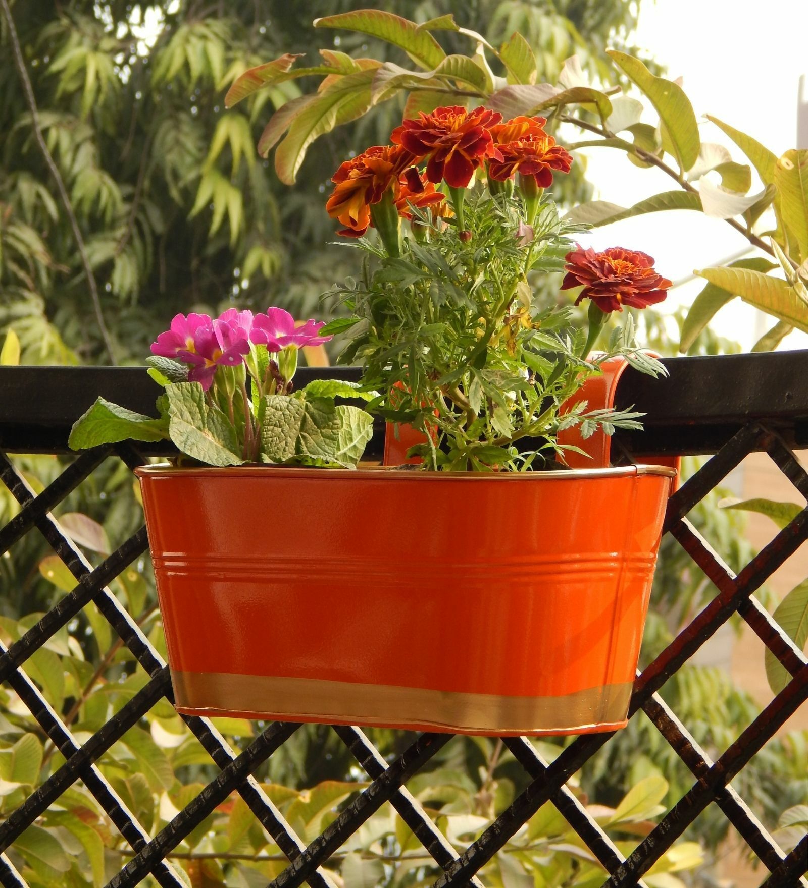 12 Inches Oval Rectangular Set of 3 Orange Metal Planter