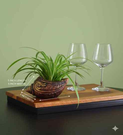 12 Pcs Red Terracotta 5 Inchs Planters