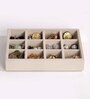 Cream 12 Grids Jewellery Tray