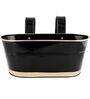 12 Inches Oval Rectangular Black Metal Planter