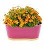 12 Inches Oval Rectangular Pink Metal Planter