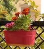 12 Inches Oval Rectangular Pink Metal Planter