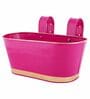 12 Inches Oval Rectangular Pink Metal Planter