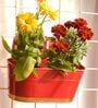 12 Inches Oval Rectangular Red Metal Planter