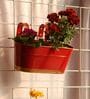 12 Inches Oval Rectangular Red Metal Planter