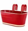 12 Inches Oval Rectangular Red Metal Planter