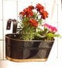 12 Inches Oval Rectangular Set of 3 Black Metal Planter