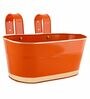 12 Inches Oval Rectangular Set of 3 Orange Metal Planter