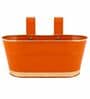 12 Inches Oval Rectangular Set of 6 Orange Metal Planter