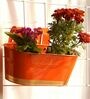 12 Inches Oval Rectangular Set of 6 Orange Metal Planter