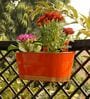 12 Inches Oval Rectangular Set of 6 Orange Metal Planter
