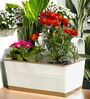 12 Inches Rectangle White Metal Hanging Planters