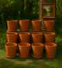 12 Pcs Red Terracotta 3.5 Inchs Planters