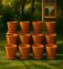 12 Pcs Red Terracotta 3.5 Inchs Planters