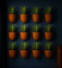 12 Pcs Red Terracotta 4.5 Inchs Planters