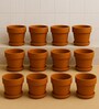 12 Pcs Red Terracotta 4.5 Inchs Planters