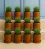 12 Pcs Red Terracotta 4 Inchs Planters