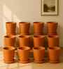 12 Pcs Red Terracotta 5.5 Inchs Planters